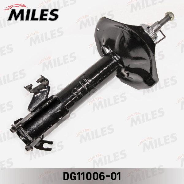 DG11006-01