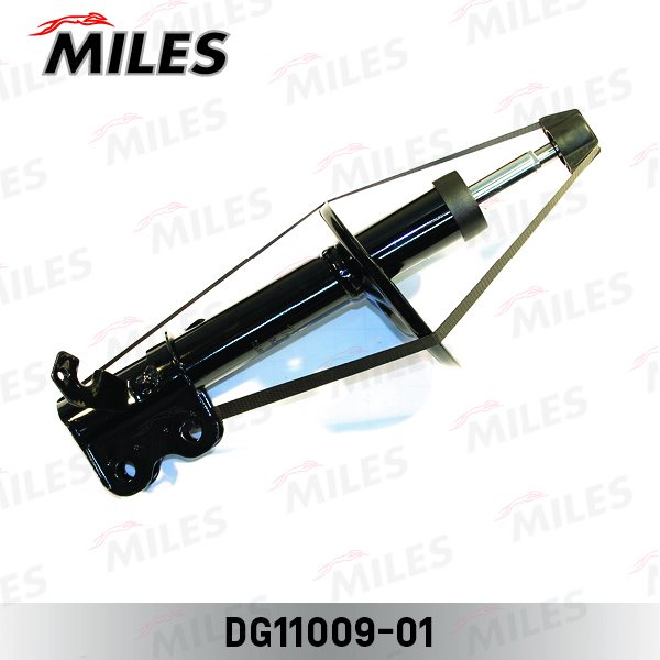 DG11009-01