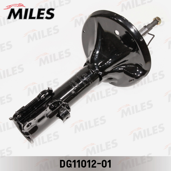 DG11012-01