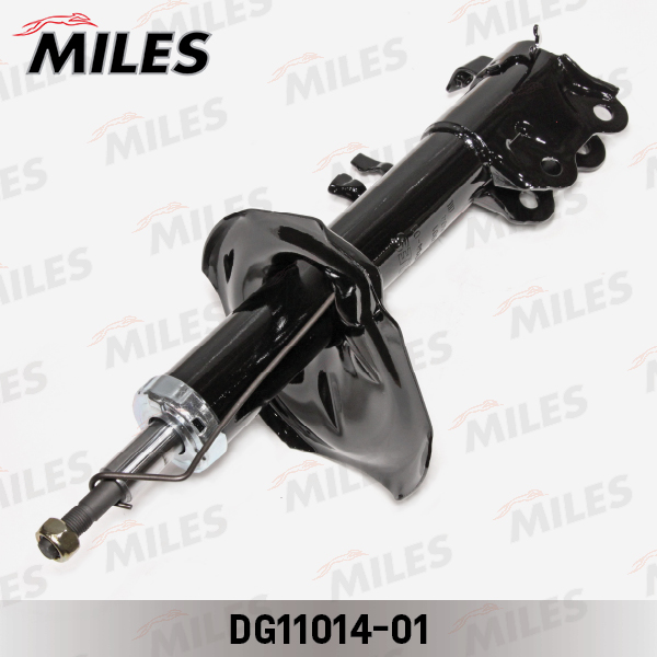 DG11014-01