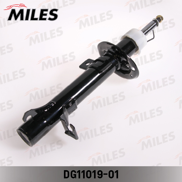 DG11019-01