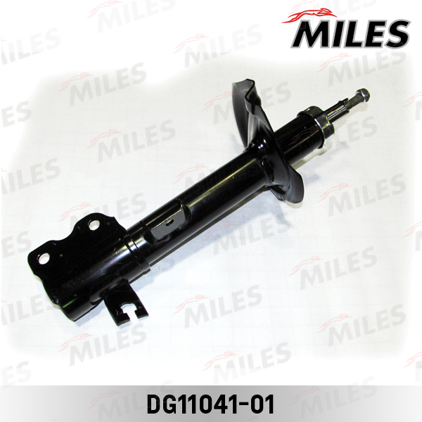DG11041-01