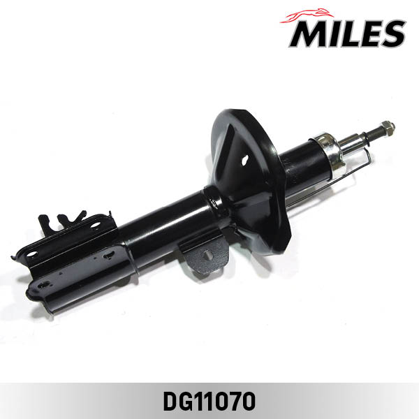 DG11070