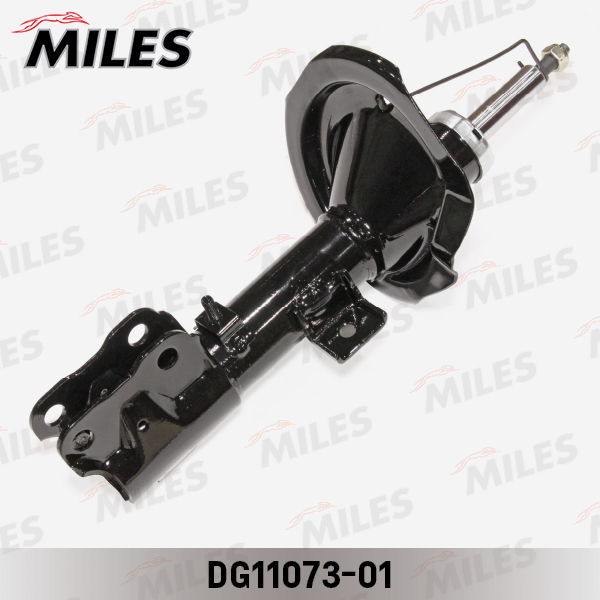 DG11073-01