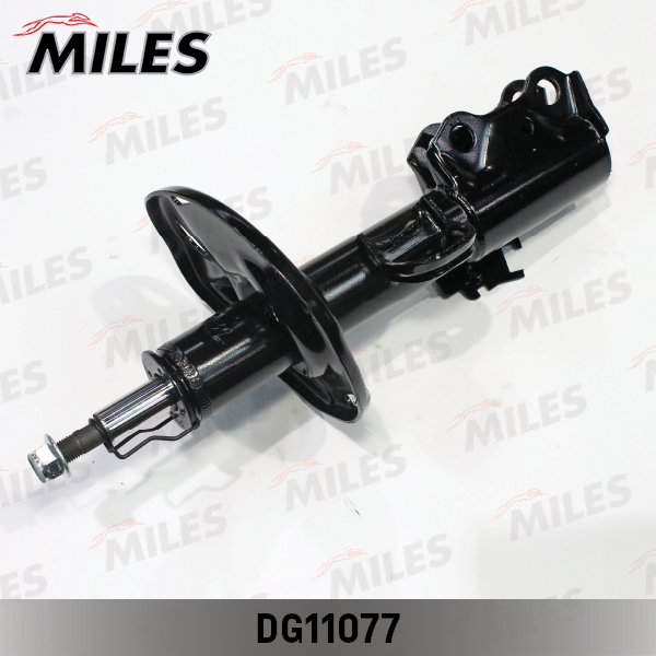 DG11077
