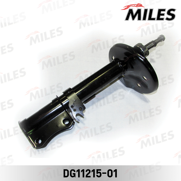 DG11215-01