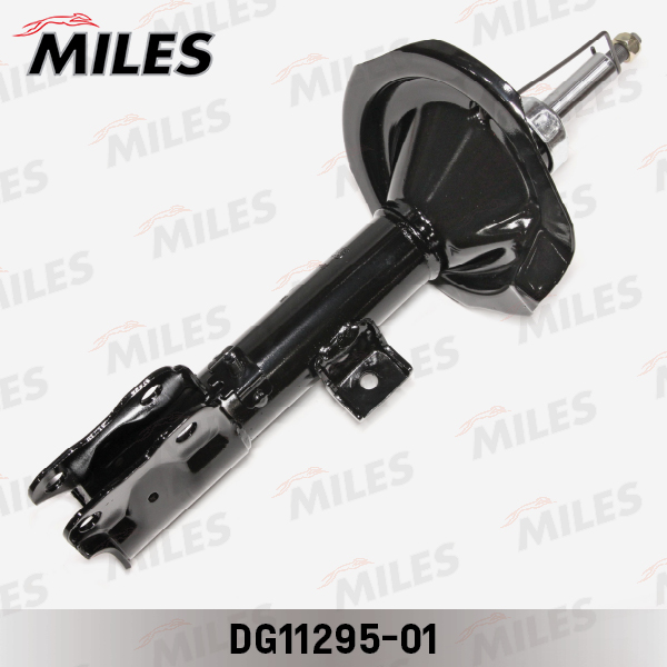 DG11295-01