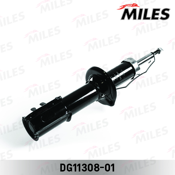 DG11308-01
