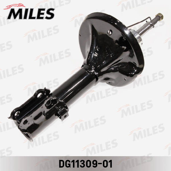 DG11309-01