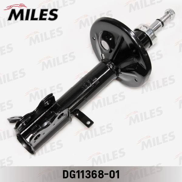 DG11368-01