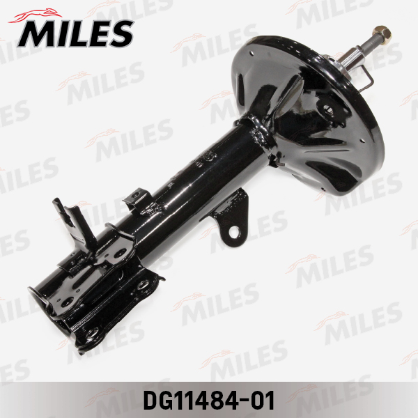 DG11484-01