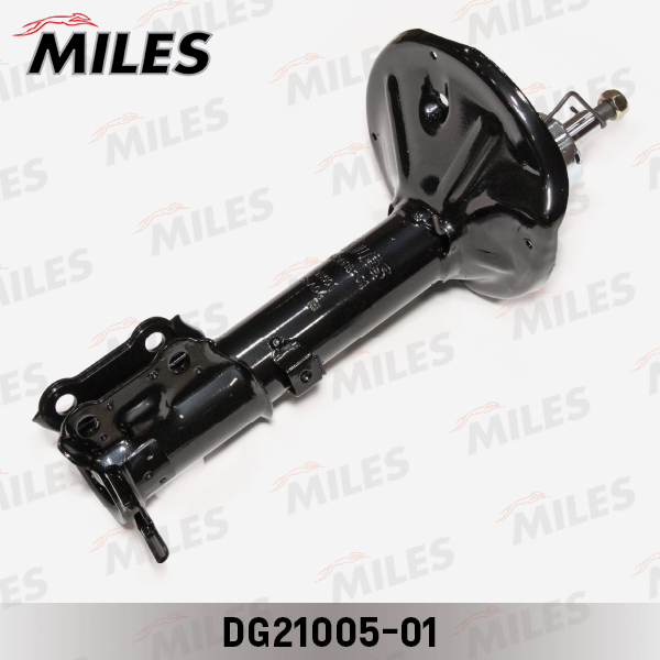 DG21005-01