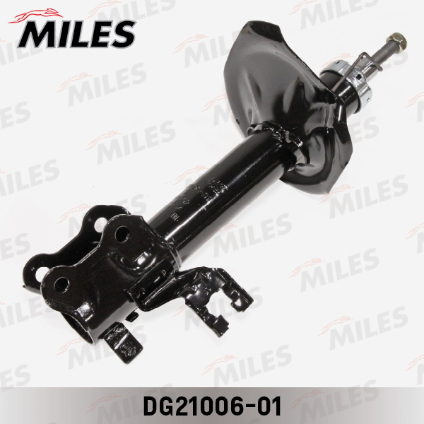DG21006-01