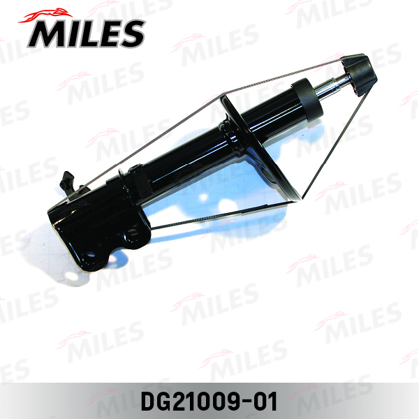DG21009-01