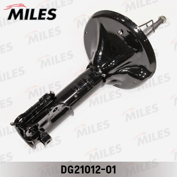 DG21012-01
