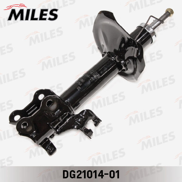DG21014-01