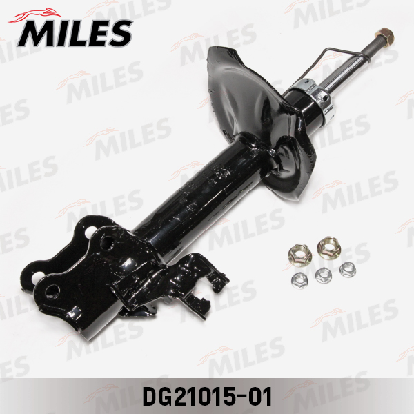 DG21015-01