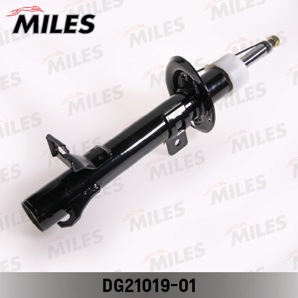 DG21019-01
