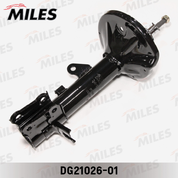 DG21026-01