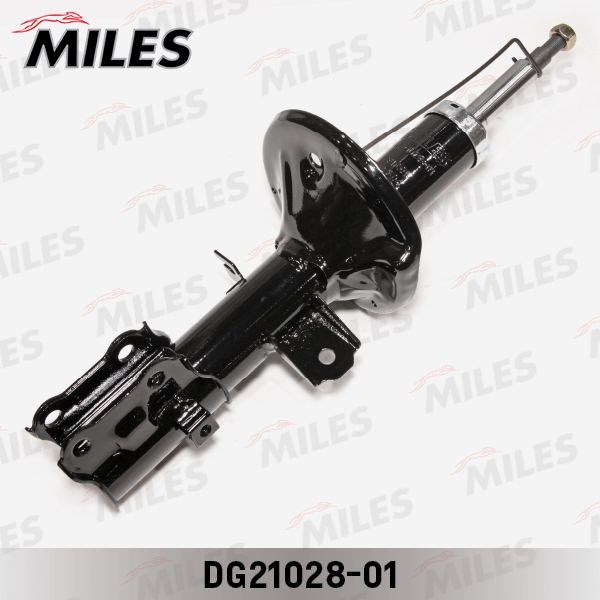 DG21028-01
