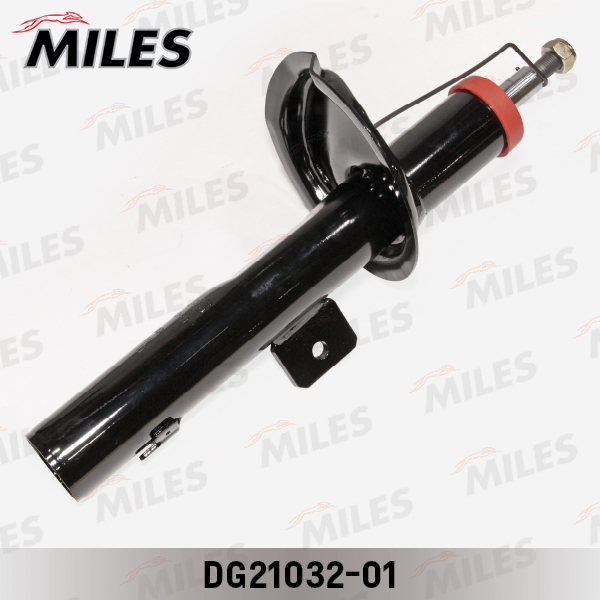 DG21032-01