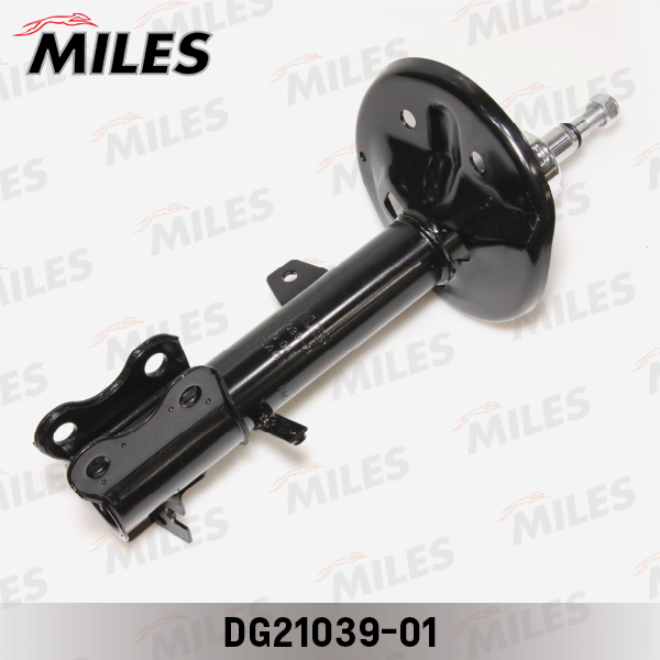 DG21039-01