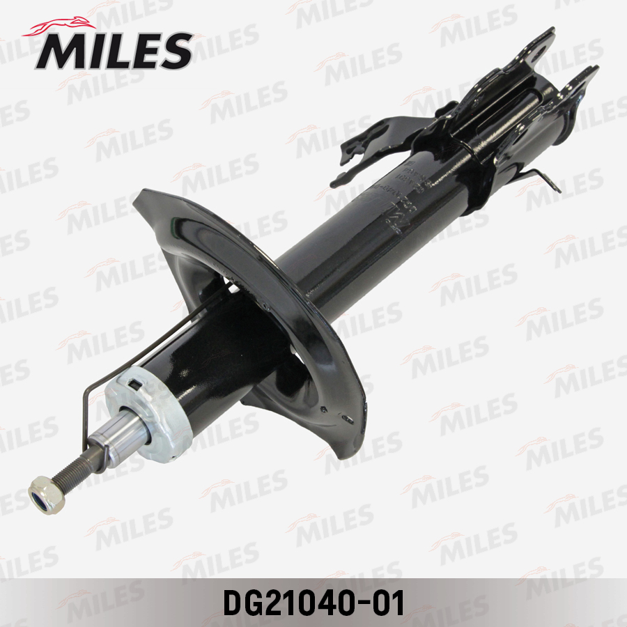 DG21040-01