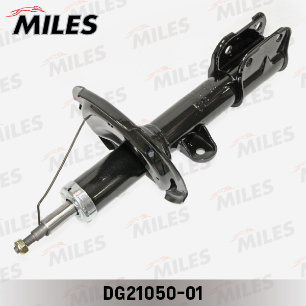 DG21050-01