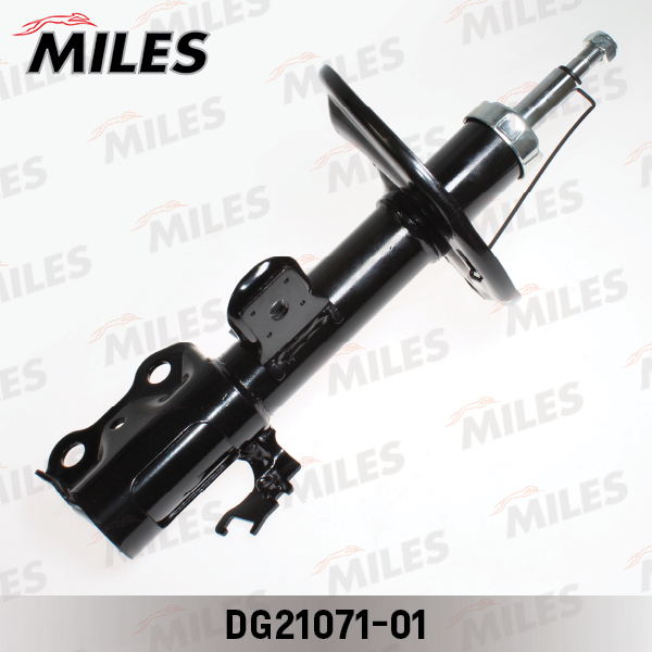 DG21071-01