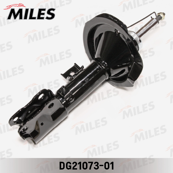 DG21073-01