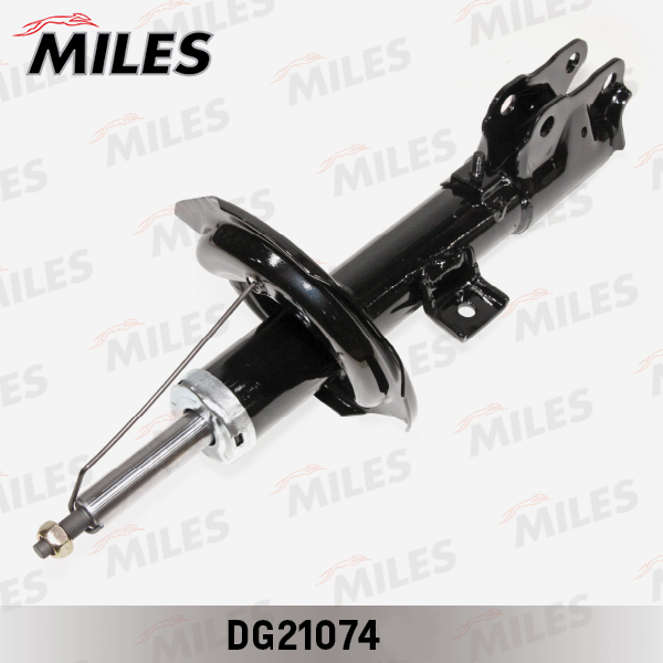 DG21074