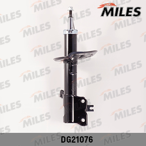 DG21076