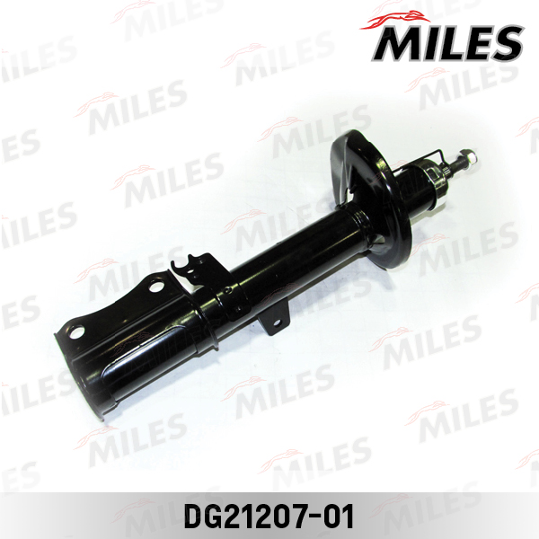 DG21207-01