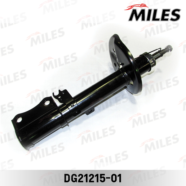 DG21215-01