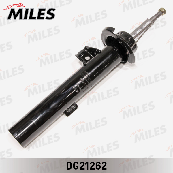 DG21262