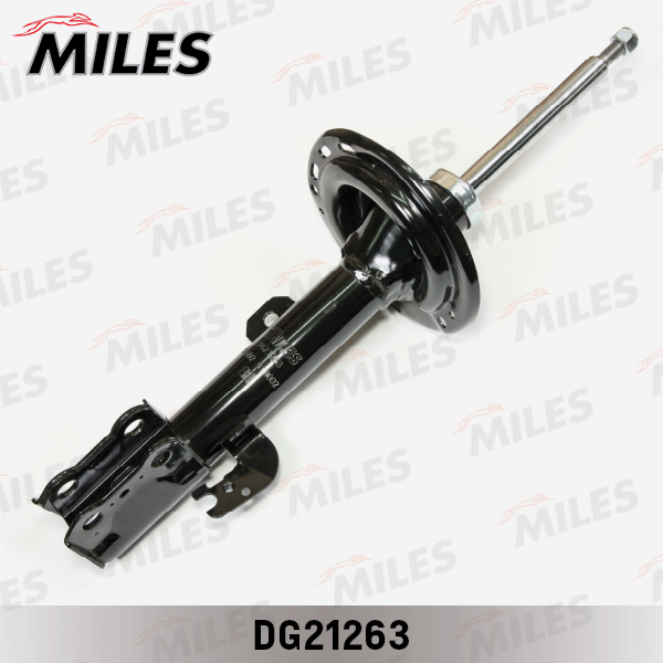 DG21263
