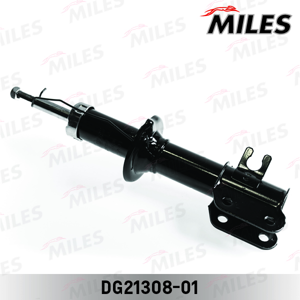 DG21308-01