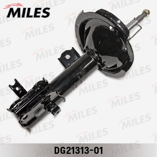 DG21313-01