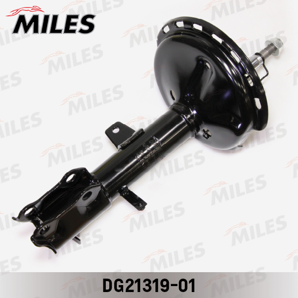 DG21319-01