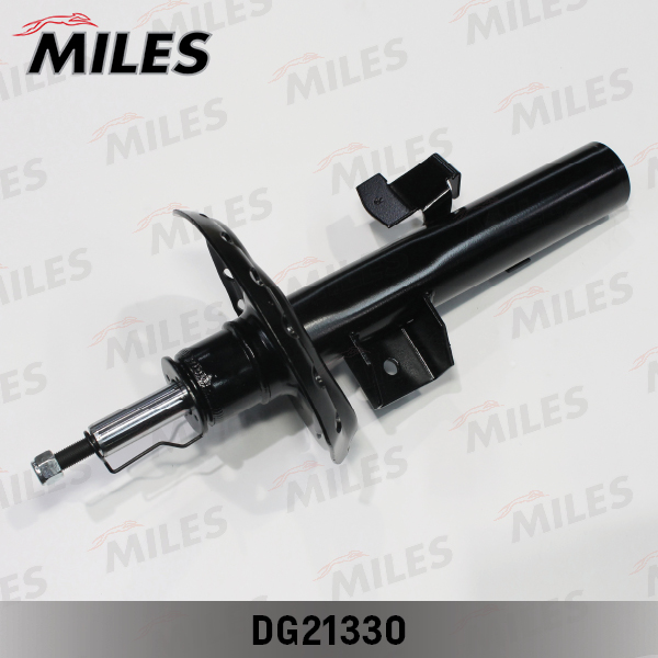 DG21330