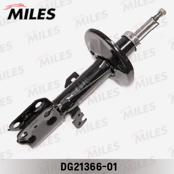 DG21366-01