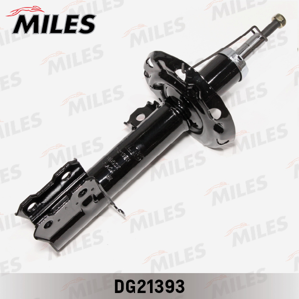 DG21393