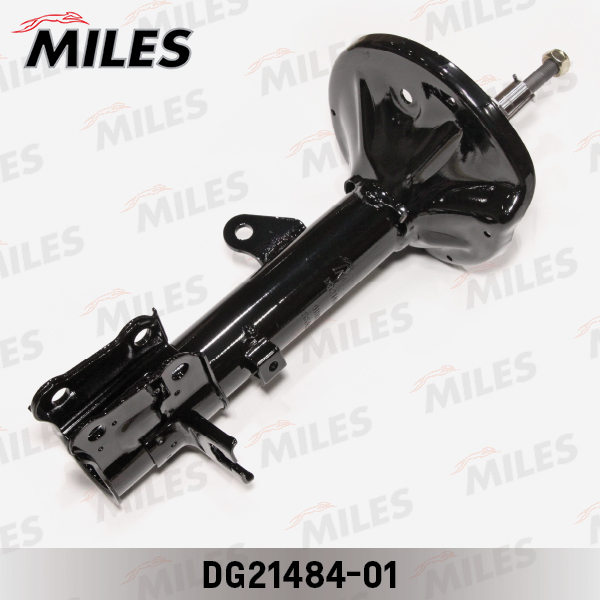 DG21484-01
