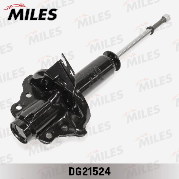 DG21524