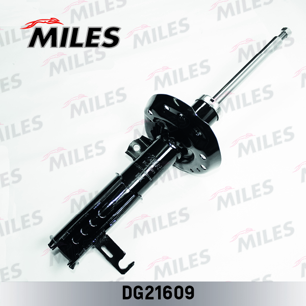 DG21609