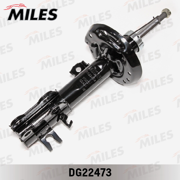 DG22473