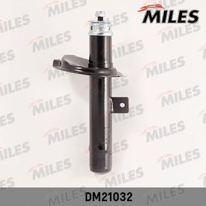 DM21032