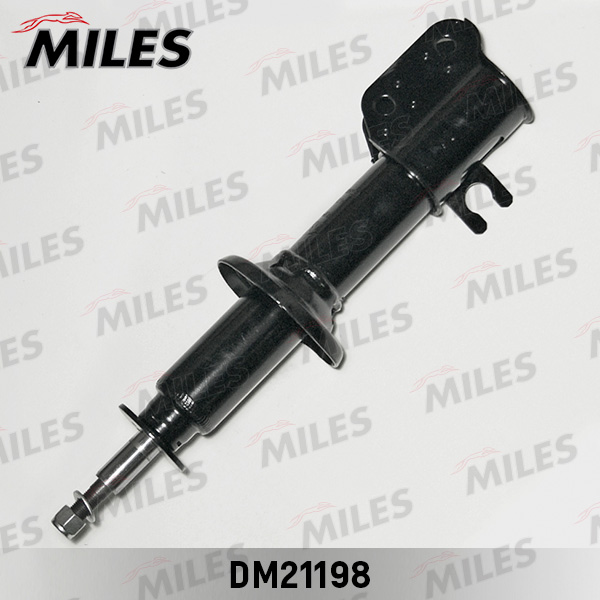 DM21198