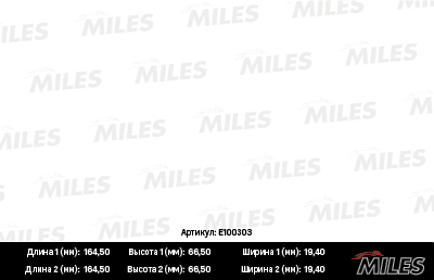 E100303