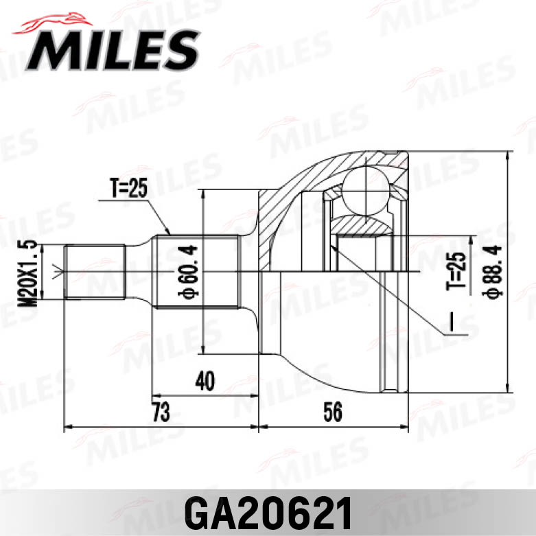 GA20621
